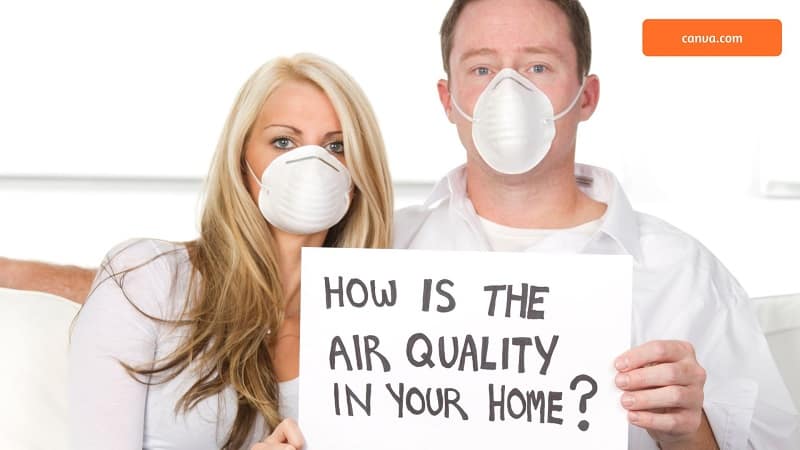6 Tips Menjaga Kualitas Udara yang Bisa Kita Lakukan